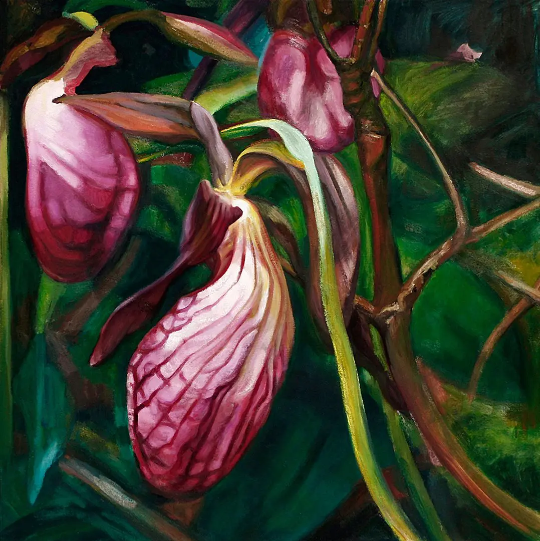 Lady Slippers