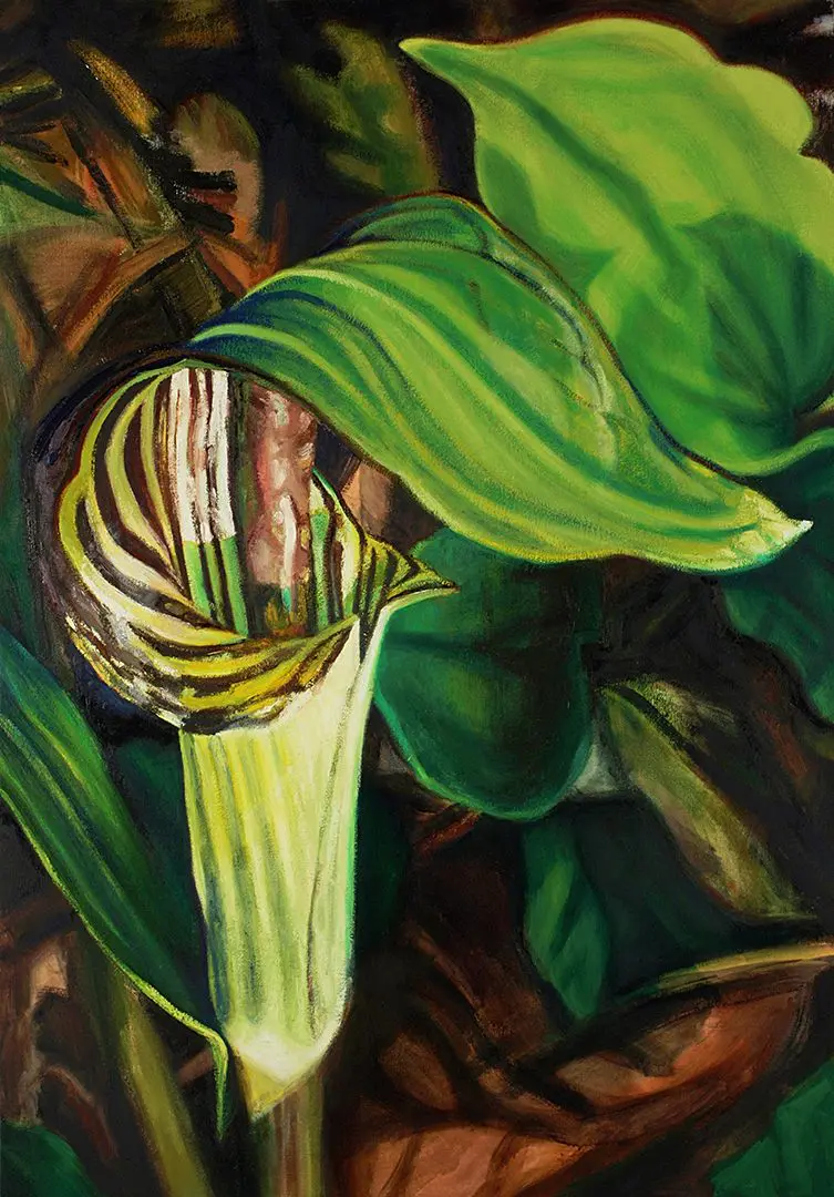Jack-in-the-Pulpit