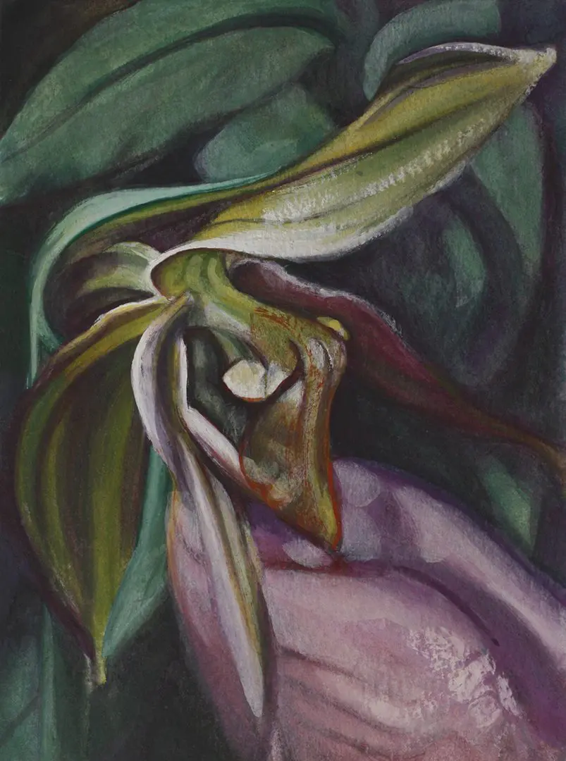 Lady Slipper