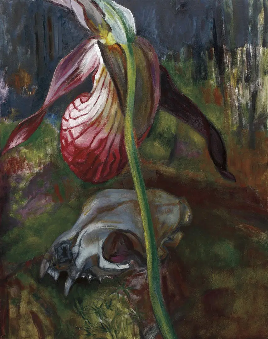Lady Slipper and Bobcat skull