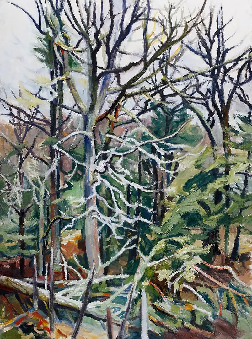 Winter Into Spring