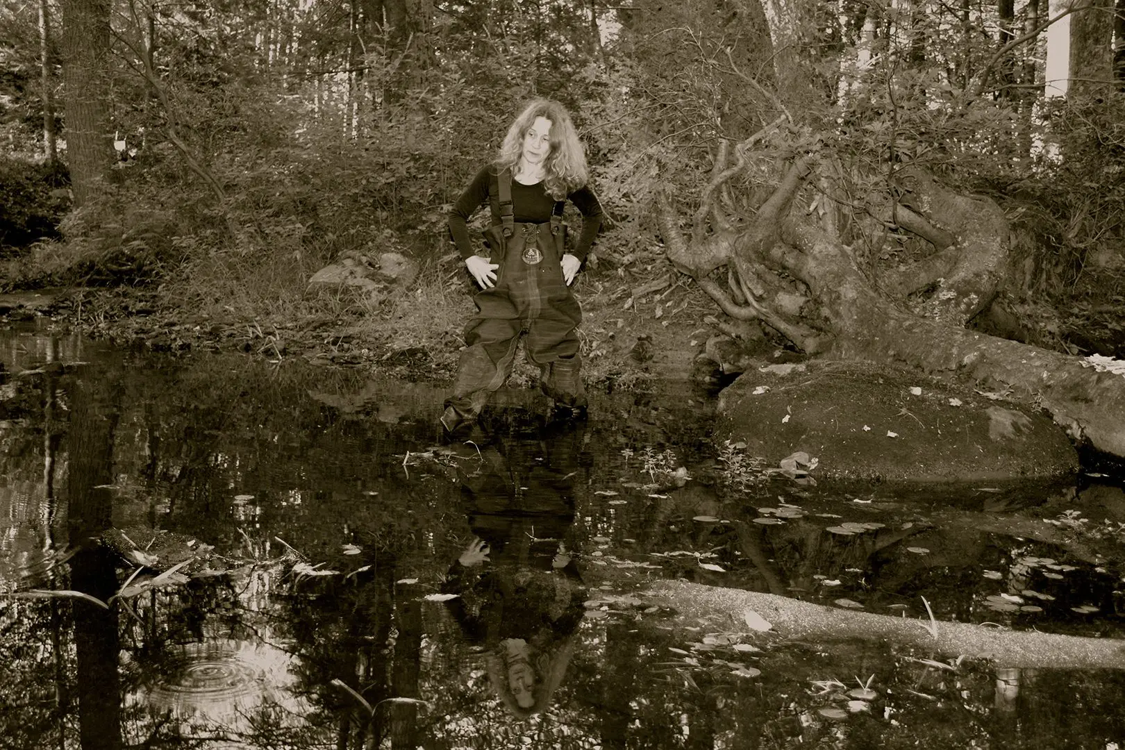 "Fishing for Imagery"
