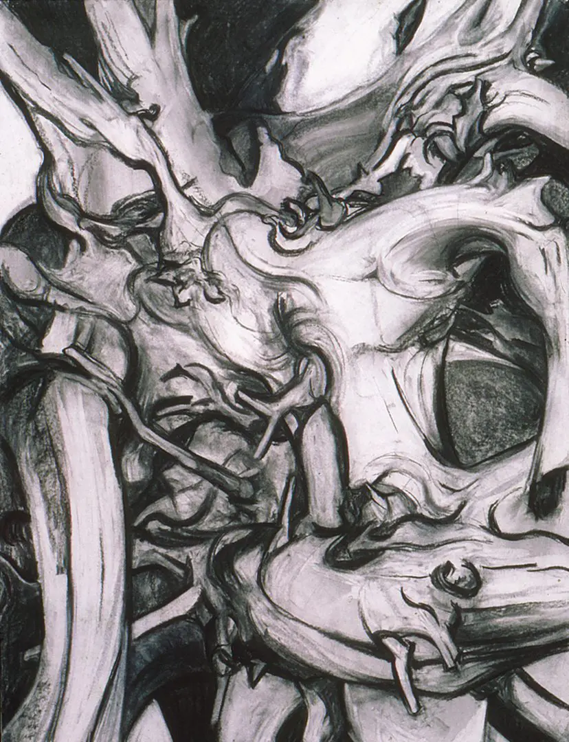 charcoal drawing of driftwood