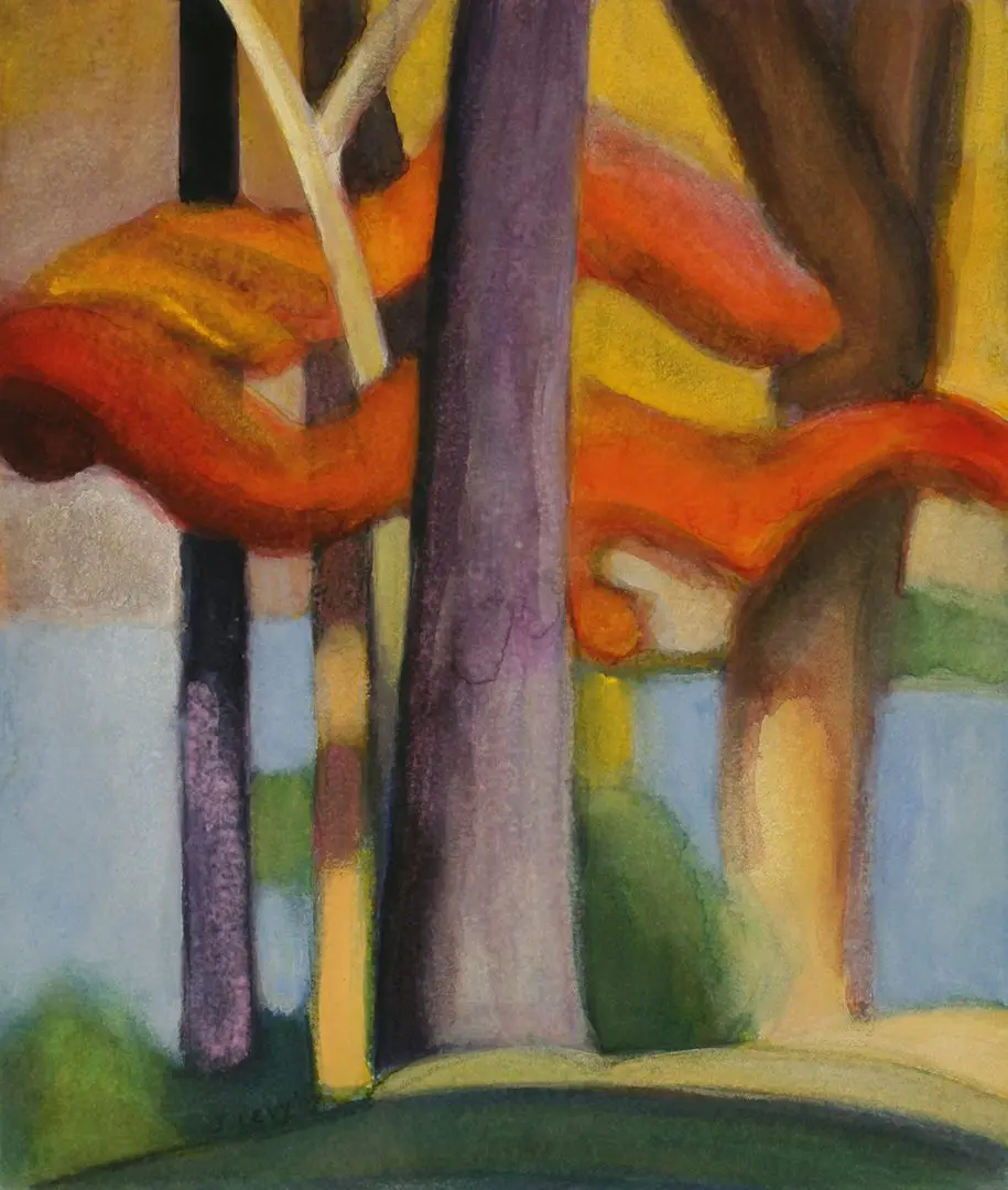 Fall foliage