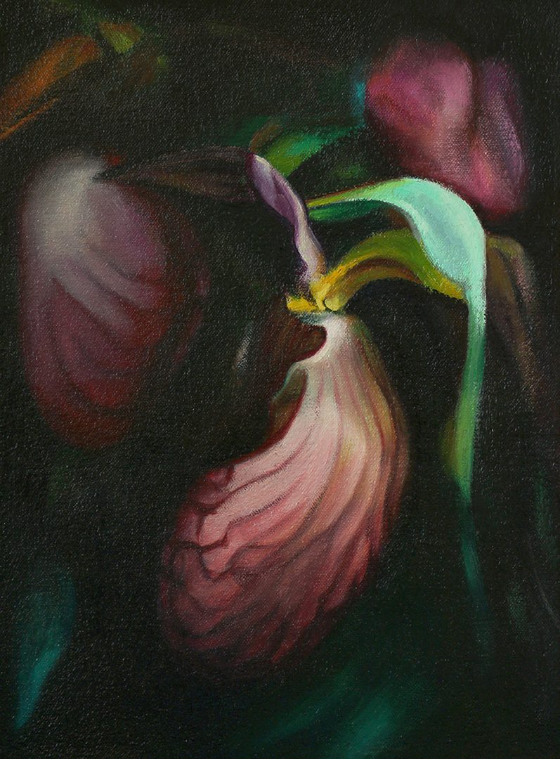 Caravaggio Orchid oil paint on canvas