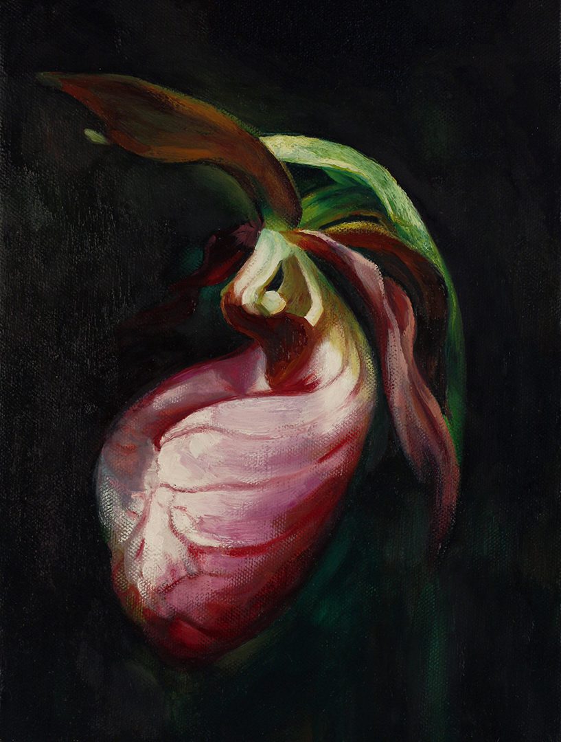 Lady Slipper oil paint on canvas